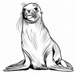 Realistic Sea Lion Coloring Pages 3