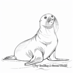 Realistic Sea Lion Coloring Pages 4