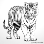 Realistic Siberian Tiger Coloring Pages 1