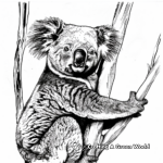 Realistic Wild Koala Coloring Pages 1