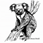 Realistic Wild Koala Coloring Pages 3