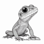 Reptile and Amphibian Tracing Coloring Pages 2