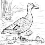 River Habitat: Mallard Duck and Ducklings Coloring Pages 3