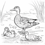River Habitat: Mallard Duck and Ducklings Coloring Pages 4