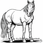 Roan Quarter Horse Coloring Sheets 1