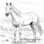Roan Quarter Horse Coloring Sheets 4