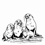 Sea Lion Family Coloring Pages: Adult and Pups 4