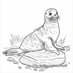 Sea Lion on a Rock: Landscape Coloring Pages 1