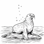 Sea Lion on a Rock: Landscape Coloring Pages 2