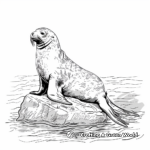 Sea Lion on a Rock: Landscape Coloring Pages 4