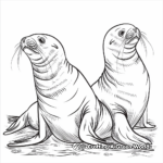 Sea Lions and Seals Side by Side Coloring Pages 2