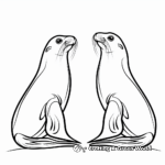 Sea Lions and Seals Side by Side Coloring Pages 3