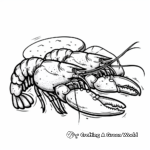 Seafood Menu Coloring Pages: From Shrimp to Lobster 3