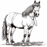 Serene Gypsy Vanner Draft Horse Coloring Pages 2