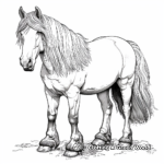 Serene Gypsy Vanner Draft Horse Coloring Pages 4