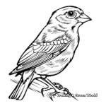 Sharpie Bird Coloring Pages 4