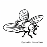 Simple Fruit Fly Coloring Pages for Children 2