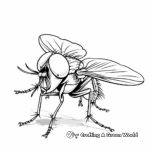 Simple Fruit Fly Coloring Pages for Children 3