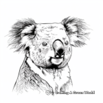 Simple Koala Face Coloring Pages 4