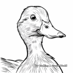 Simple Mallard Duck Portrait Coloring Pages 1