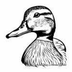 Simple Mallard Duck Portrait Coloring Pages 3
