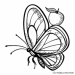 Simple Orange Butterfly Coloring Pages for Children 2