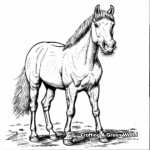 Simple Quarter Horse Coloring Pages for Children 1