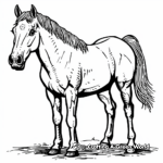 Simple Quarter Horse Coloring Pages for Children 2