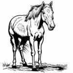 Simple Quarter Horse Coloring Pages for Children 3