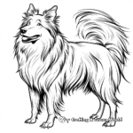 Simple Scotch Collie Coloring Pages for Children 2