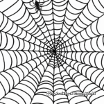 Simple Spider Web Coloring Pages for Children 2