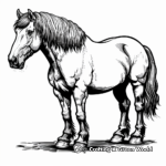 Simple Suffolk Punch Draft Horse Coloring Pages for Children 1