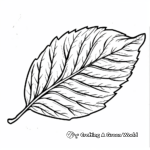 Simple Sweet Gum Leaf Coloring Pages for Children 3
