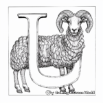 Simple U for Urial (Wild Sheep) Coloring Pages 3