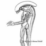 Simplified Xenomorph Coloring Sheets for Kids 1