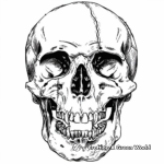 Sinister Vampire Skull Coloring Pages 4