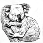 Sleeping Koala Coloring Pages 1