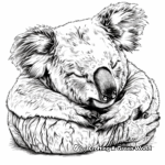 Sleeping Koala Coloring Pages 2