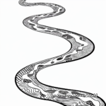 Snake Path Coloring Pages 2