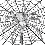 Spider and its Web Coloring Pages 3