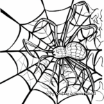 Spider and its Web Coloring Pages 4