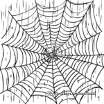 Spider Web in the Rain Coloring Pages 3