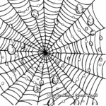 Spider Web with Dew Drops Coloring Pages for Adults 1