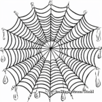Spider Web with Dew Drops Coloring Pages for Adults 3
