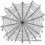 Spider Web with Dew Drops Coloring Pages for Adults 4