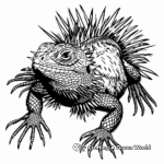 Spiky Frills of a Frilled Lizard Coloring Pages 3