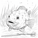 Splendid Marine Life with Blobfish Coloring Pages 3