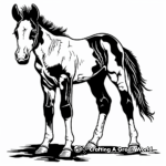 Sprightly Paint Horse Foal Coloring Pages 1