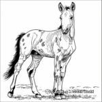 Sprightly Paint Horse Foal Coloring Pages 2