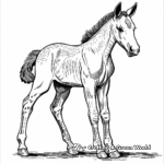 Sprightly Paint Horse Foal Coloring Pages 4